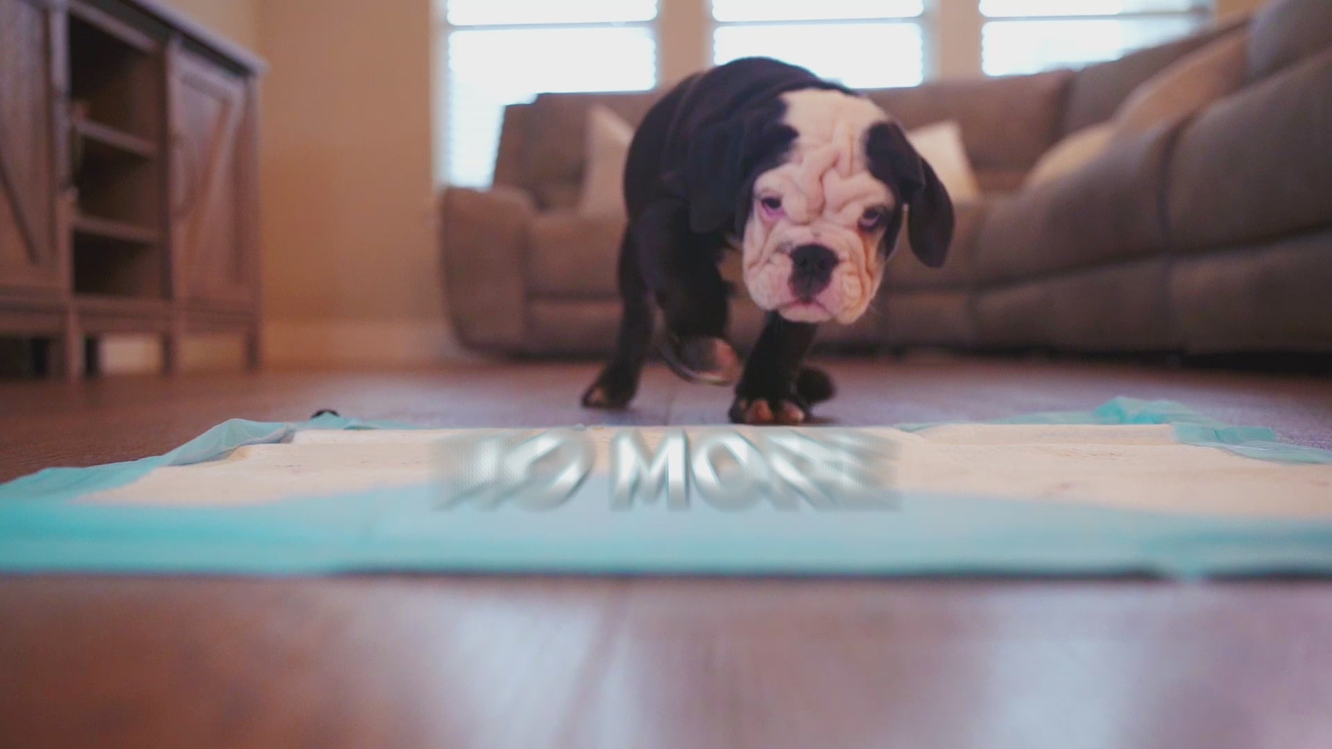 Load video: 